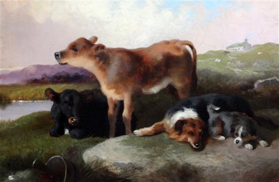 George W. Horlor (1823-1895) oil on canvas Calves and sheepdogs